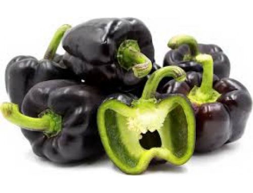 Capsicum Bell Pepper