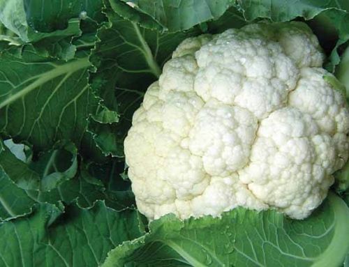 Cauliflower