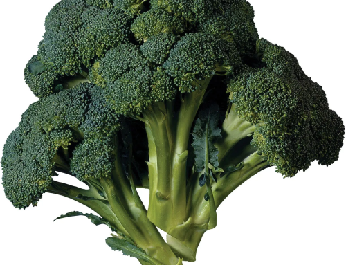 Broccoli